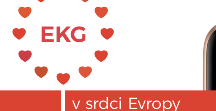 EKG v srdci Evropy, Jiří Hubík, iConsultant